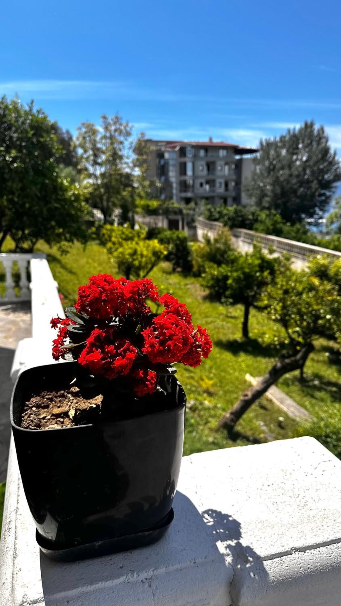 Villa Mare - For Families & Groups Vlorë 外观 照片